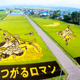 Illustration for article titled Behold These Incredible Artworks Grown from a Rice Field in Japan